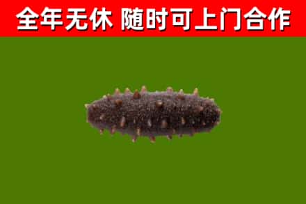 象州县回收海参干